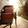 Отель Study Resort, фото 5