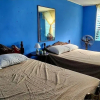 Отель Hostal Cisne House, фото 4