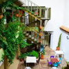 Отель El Solar Hostel, фото 30