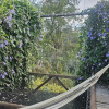 Отель finca hotel zona 7, фото 38