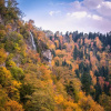 Отель Rest In Borjomi, фото 8