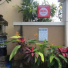 Отель Ayu Love and Harmony Guest House, фото 1
