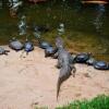 Отель Posada del Chamán Iguazú, фото 26