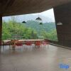 Отель Persimmon Tree Homestay (Bifengxia Scenic Area), фото 12