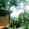 Отель Casa Macaw Jungle Cabin w Private Pool Wifi and AC, фото 15