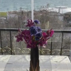Отель Ista Golden Palace, фото 5