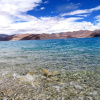 Отель TIH Pangong Lake View Cottages and Camps, фото 13