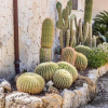 Отель Luxury Garden in Gallina, фото 10