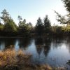 Отель Les Bulles de Sologne - Hébergements Insolites, фото 8