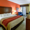 Отель Comfort Inn Hamburg Area / I-75 Lexington, фото 3