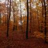 Отель Les Hauts De Pierrefonds, фото 2