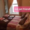Отель Commodore Guesthouse, Self-Catering Suites, фото 12