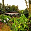 Отель Trapp Family Lodge, фото 9