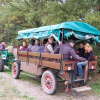 Отель HEINRICHs winery bed & breakfast, фото 16