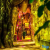 Отель Muchun Inn (Xishuangbanna Poshui Square), фото 8