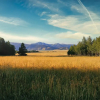 Отель Starlight Retreat Yellowstone, фото 1