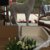 Отель Yuequan Hot Spring Hotel, фото 1