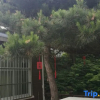 Отель Yujian Xiyou Hostel, фото 1