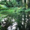 Отель Otter 1 HuntersMoon-Warminster-Longleat-Wiltshire, фото 9