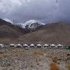 Отель TIH Ladakh Summer Camp Pangong, фото 18