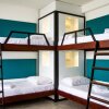 Отель Lazy Koala Hostel - Adults Only, фото 4