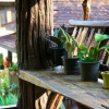 Отель Lanna House บ้านลานนา เชียงดาว, фото 17