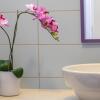 Отель Aster Suite in Protaras, фото 7