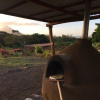 Отель Finca Ometepe, фото 17