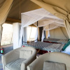 Отель Serengeti Wildebeest Camp, фото 8