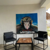 Отель Wild Monkeys Hostel, фото 12
