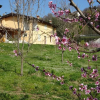 Отель CASCINA LEGNAGO - bilocale a 6 chilometri da SALO', фото 12