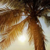Отель Seaside Inn Roatan, фото 17
