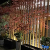 Отель shuangtian yazhu hotel, фото 10