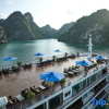 Отель Erina Cruise, фото 50