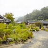 Отель Chungju Wildflowers and Gotaengnadeuri, фото 46