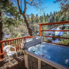 Отель Summit Comfort-1571 by Big Bear Vacations, фото 9