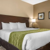 Отель Cobblestone Hotel & Suites Connellsville, фото 7