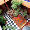 Отель Riad Konouz, фото 15