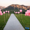 Отель Memedee Manor Homestay, фото 11