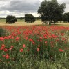 Отель Finca Piedras Menaras, фото 17