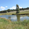 Отель Gold Camp Cabins, фото 3