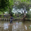 Отель Saigon Garden Homestay, фото 17
