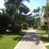 Отель Private Room in the Boca Chica Resort Condominium, фото 11