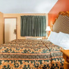 Отель Rodeway Inn & Suites, фото 26