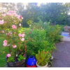 Отель Wintara B&B, фото 16