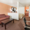 Отель Premier Inn Palestine, фото 3