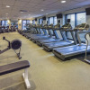 Отель DoubleTree Suites by Hilton Htl & Conf Cntr Downers Grove, фото 19