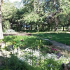 Отель Woodlands Retreat, фото 3