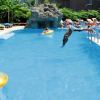 Отель Celi̇k Apart Hotel, фото 7