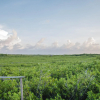 Отель Nativus Glamping & Cenote Tulum, фото 8